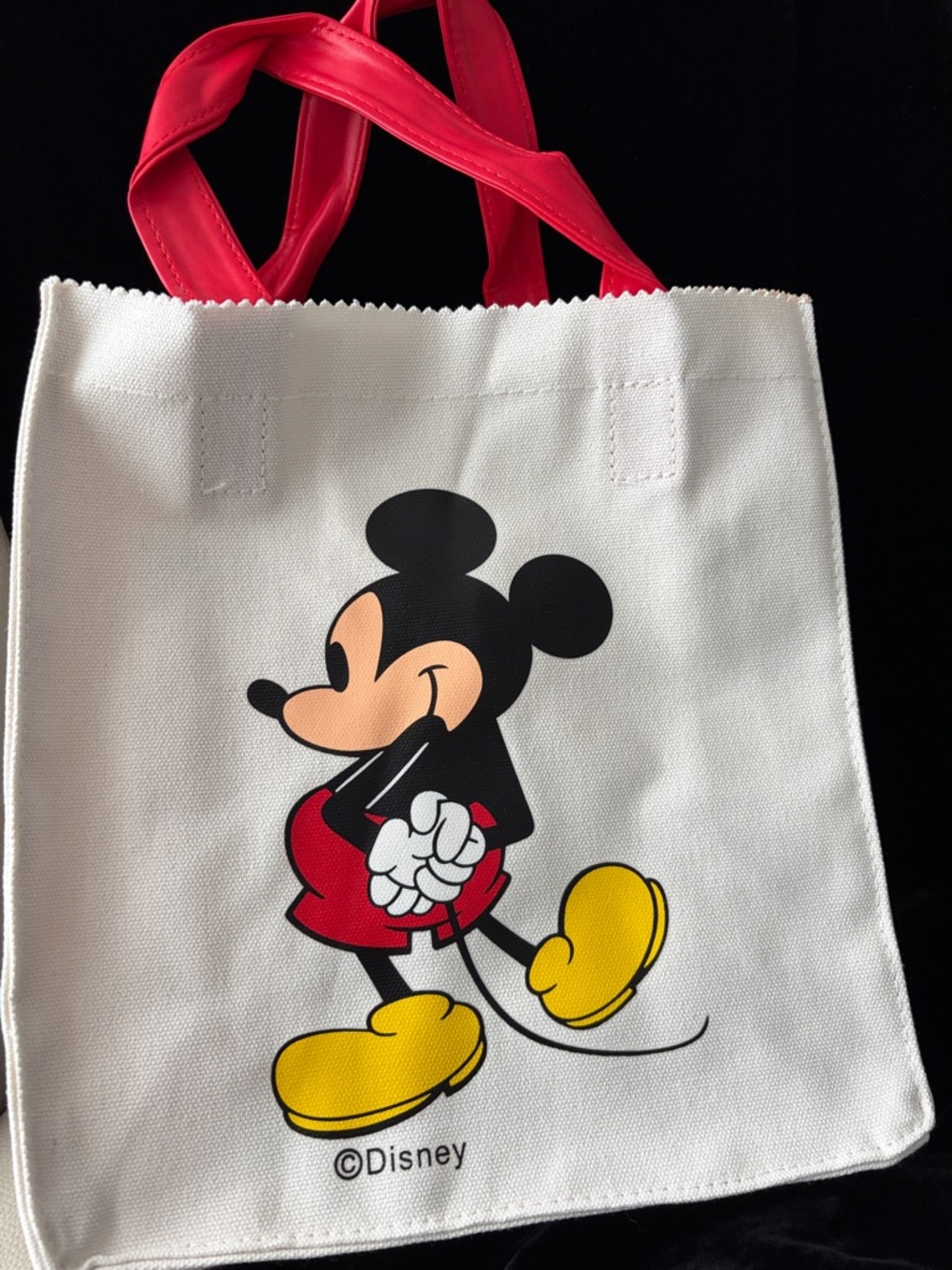 Mickey Mouse Canvas Red Handle Tote 🆕 Small